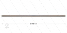 RP201 lans - L=2000mm - recht - RVS - 400 Bar - max 150&deg;C - 2 x 1/4&quot; bu