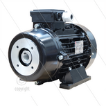 E-motor 4.0 kW - 230/400V - met flexkoppeling - &Oslash;24mm inwendige as - IEC 112 - thermisch beveiligd - pompserie: 47(VHT-SS) - 59(E3) - 66(VHT-SS)