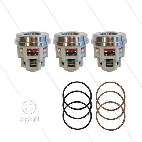Kit 2012 - Set zuigkleppen (3x) - Serie 71 + 71(V)HT + Pratissoli KF40