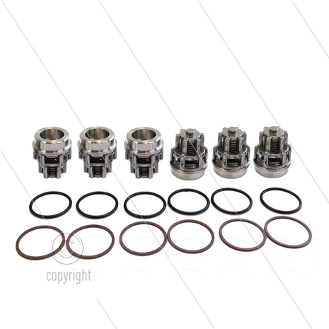 Kit 2040 - kleppenset (6x) - Serie 70SS
