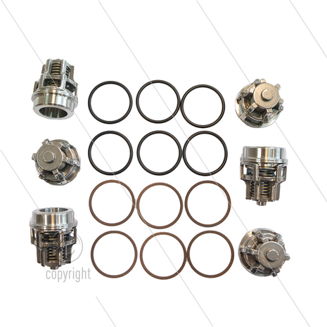 Kit 2040 - kleppenset (6x) - Serie 70SS