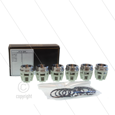 Kit 2246 - Kleppenset (6x) - Serie 70 W-WK en Pratissoli KT-KTB