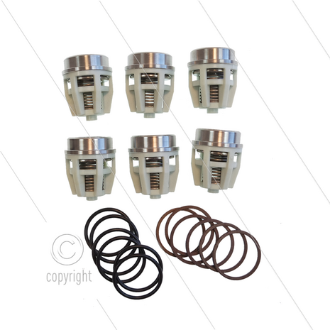 Kit 2246 - Kleppenset (6x) - Serie 70 W-WK en Pratissoli KT-KTB