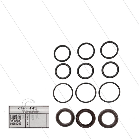 Kit 141 - Manchetset &Oslash;18mm voor 3 plunjers - Serie 51 Misting - HXM