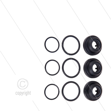Kit 146 - Manchetset &Oslash;12mm voor 3 plunjers - serie Greenjet - Cleanmatic - Bluetime