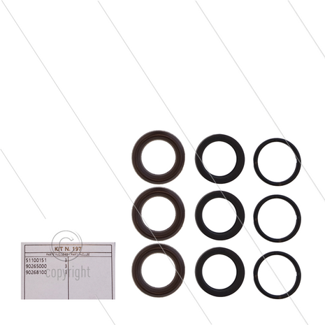 Kit 197 - Manchetset &Oslash;18mm voor 3 plunjers - Serie 60