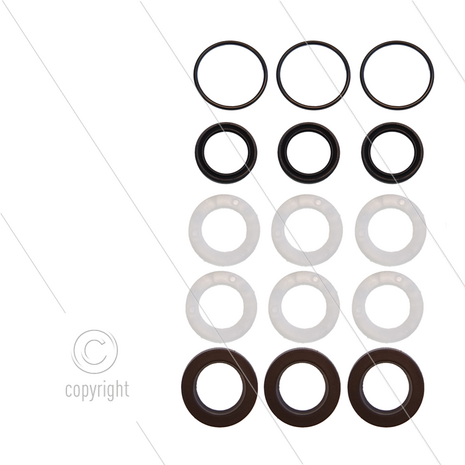 Kit 273 - Manchetset &Oslash;15mm voor 3 plunjers - serie 58