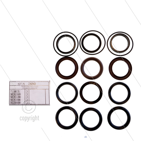 Kit 300 - Manchetset &Oslash;40mm voor 3 plunjers - Serie AB
