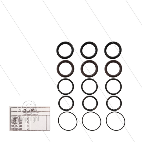 Kit 301 - Manchetset &Oslash;45mm voor 3 plunjers - Serie AB