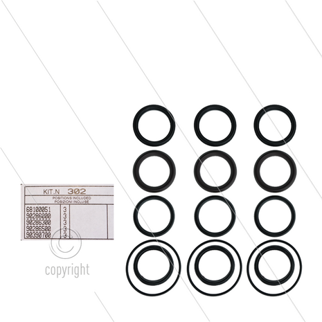 Kit 302 - Manchetset &Oslash;50mm voor 3 plunjers - Serie AB