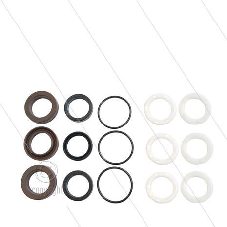 Kit 329 - Manchetset &Oslash;20mm voor 3 plunjers - serie 58