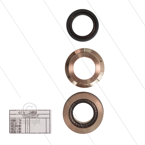 Kit 209 - Complete afdichtingsset &Oslash;22mm voor 1 plunjer - Serie 66(V)HT