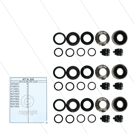 Kit 220 - Complete afdichtingsset &Oslash;20mm voor 3 plunjers incl. kleppen - voor ombouw naar 47 (V)HT - tot max 85&deg;C