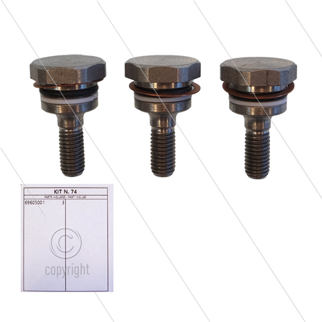Kit 074 - Set plunjerbouten + afdichtingen (3x) - Serie 69 - W4 - T33 - T44 - T55