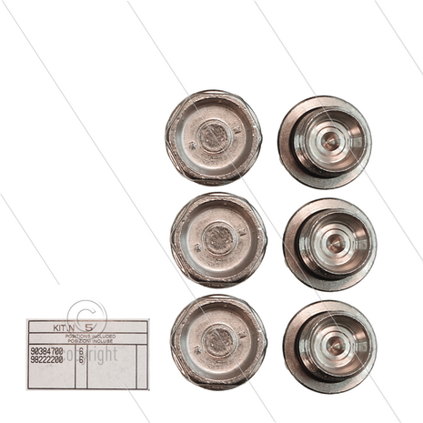 Kit 005 - Set kleppluggen + O-ringen (6x) - messing vernikkeld - M24x2x16,5 - Serie 47