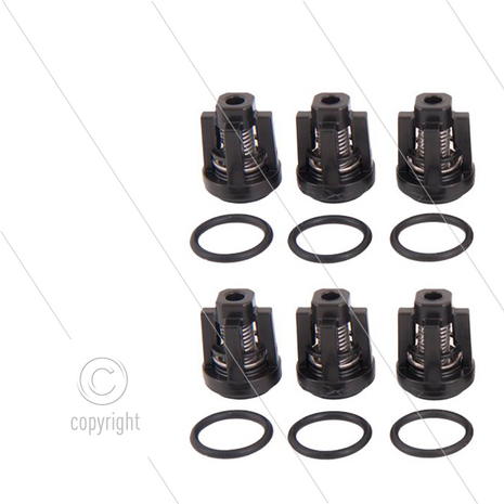Kit 134 - Klep en O-ring (6x) - Serie Greenjet + Cleanmatic + Bluetime