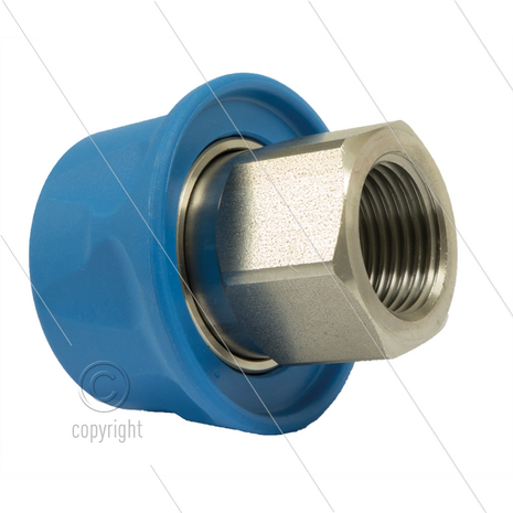 RP3100 - koppeling - RVS - met kunststof ring - 250 Bar - max 150&deg;C - 3/8&quot; bi