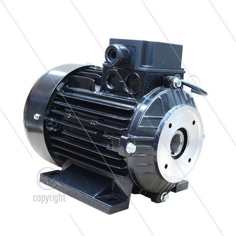 E-motor 1.5 kW - 230V - &Oslash;24mm inwendige as - IEC 90 - pompserie: 44 - 50 - 51 - 53(E1) - 58(E2) - 60(VHT) - 63(VHTS-SS)