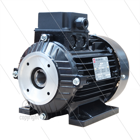 E-motor 0.55 kW - 230/400V - &Oslash;24mm inwendige as - IEC 80 - pompserie: 51 - FE5101 en FE5102